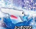 Hammerhead shark