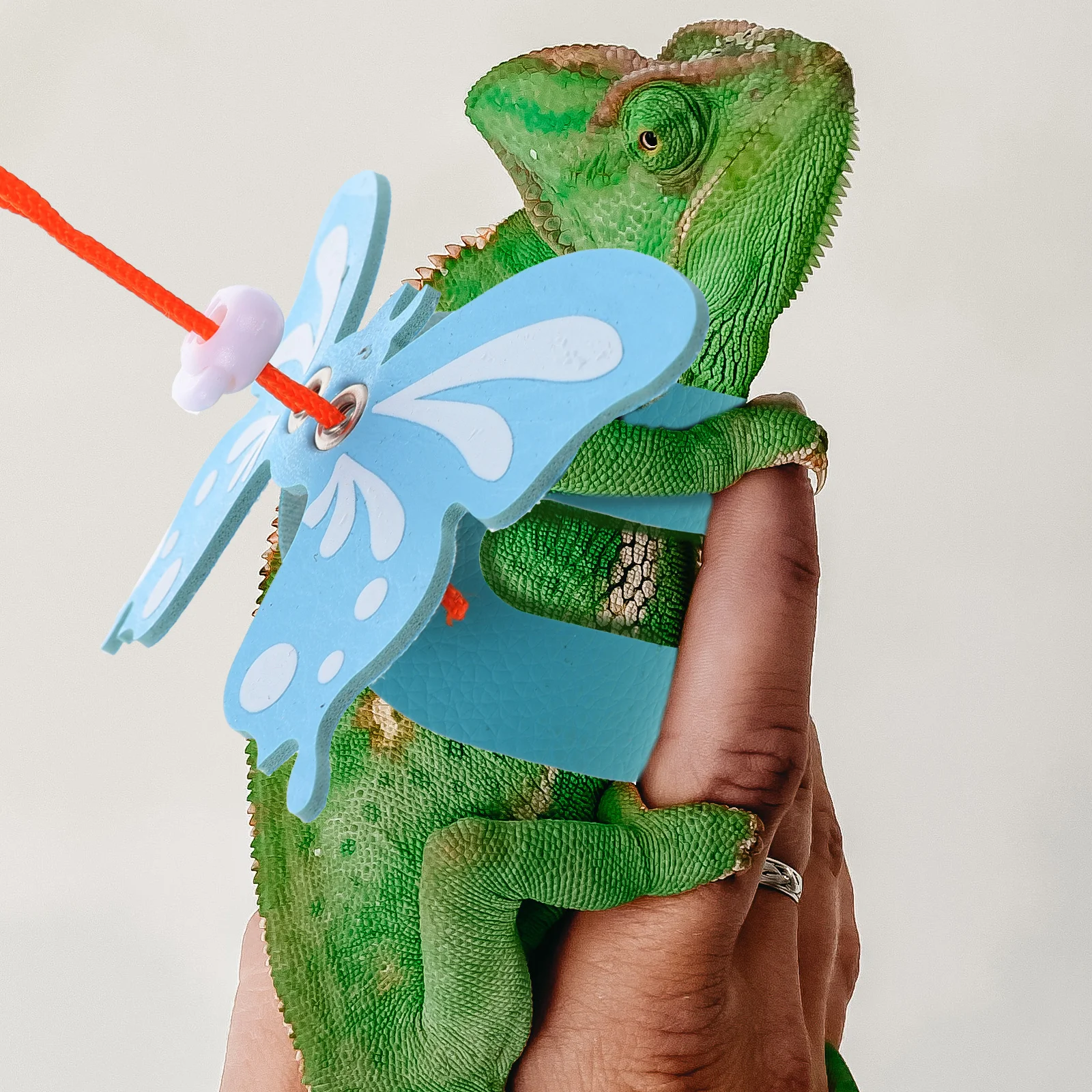 

Compact Lightweight Lizard Leash for Bearded Dragons Gecko Amphibians Reptile Pet Harness Walking Rope Pu Travel Supplies