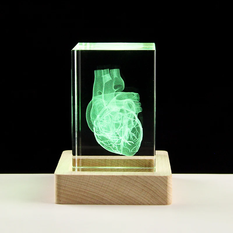 Crystal 3D Laser Heart Anatomy Model Cube Miniature Figurines For Hospital Display Souvenirs