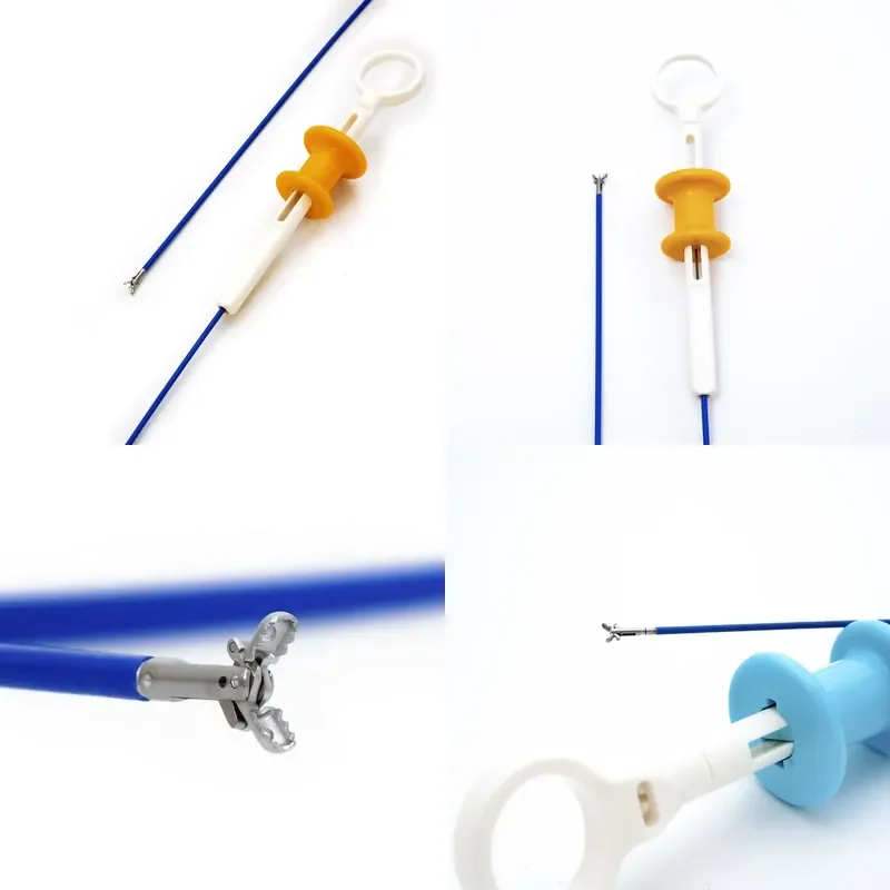 Essential GI SKU with High Reorder Rate-Stock the Biopsy Forceps Endoscopists and Pathologists Both Prefer