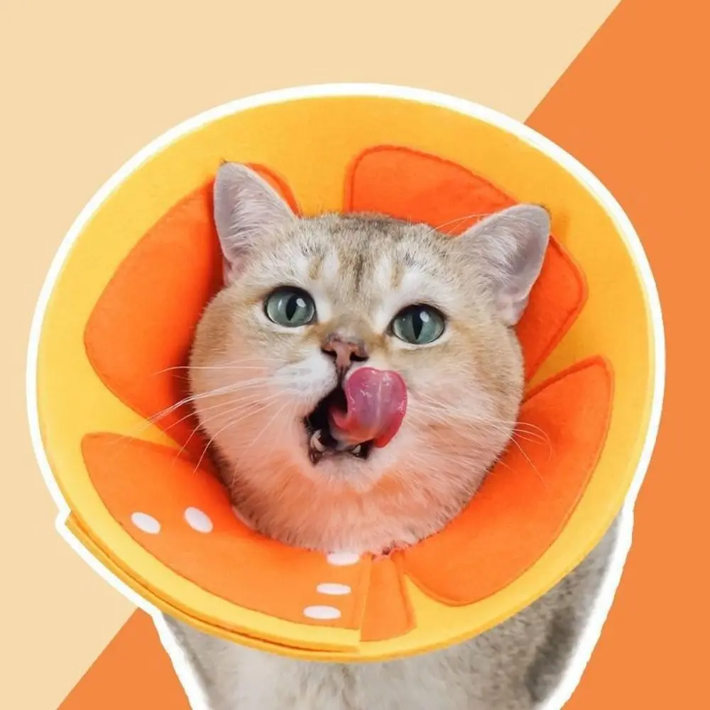 Cute Soft Elizabethan Collars Anti-lick Adjustable Cat Cones Anti-bite Felt Cat Recovery Collar For Pet After Surgery