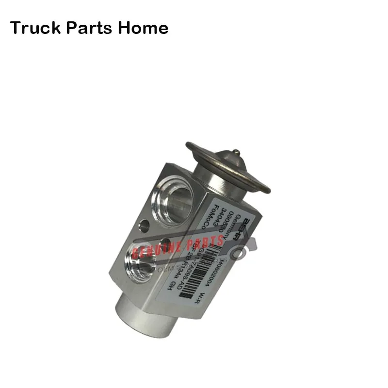 Expansion Valve/Air Conditioning Expansion Valve Block Valve For Volvo Truck FM9 FM12 FH12 20443850 13419850