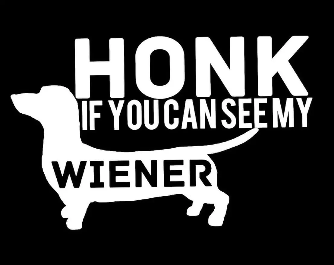 

Honk If You Can See My Weiner Dachshund Vinyl Decal Sticker|Cars Trucks Vans Walls Laptops|White