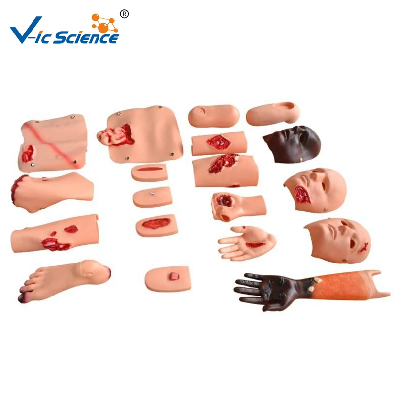 

PVC Medical Advanced Trauma Accessories Manikin for Students Training