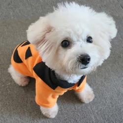 Funny Halloween Dog Clothes Pet Clothes for Small Dogs Pumpkin Dog Cat Hoodie Coat Winter Warm Chihuahua French Bulldog Costume