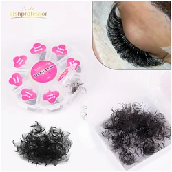 Premium Slim Narrow Stem Sharp Loose Fans Flase Eyelashes Thin Pointy Base Volume Premade Loose Fans Eyelash Extensions Supplier