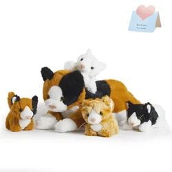 Ensemble de jouets en peluche chat beurre mignon pour enfants, cadeau d'anniversaire Kitty doux, coussins, animaux en peluche pour filles, enfants, 50cm, 5 pièces