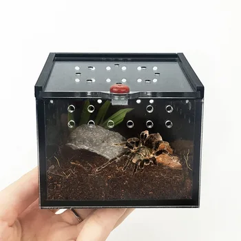 파충류 테라리움 애완 동물 캐리어, 아크릴 파충류 상자, 거미 상자, 파충류 크롤링 애완 동물 먹이, 게코 도마뱀 누에 