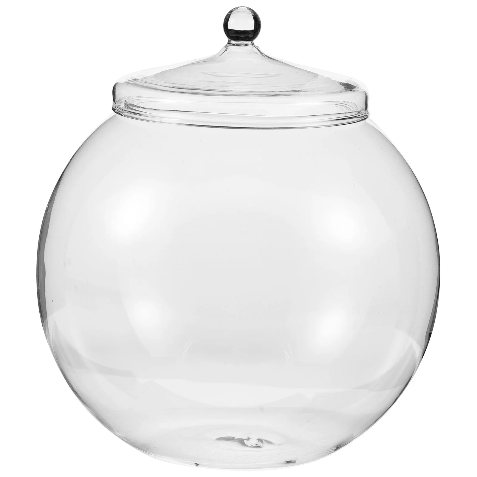 

Moss Ecological Bottle Premium Glass Micro Landscape DIY Terrarium Transparent for Desktop Decor Home Garden Table