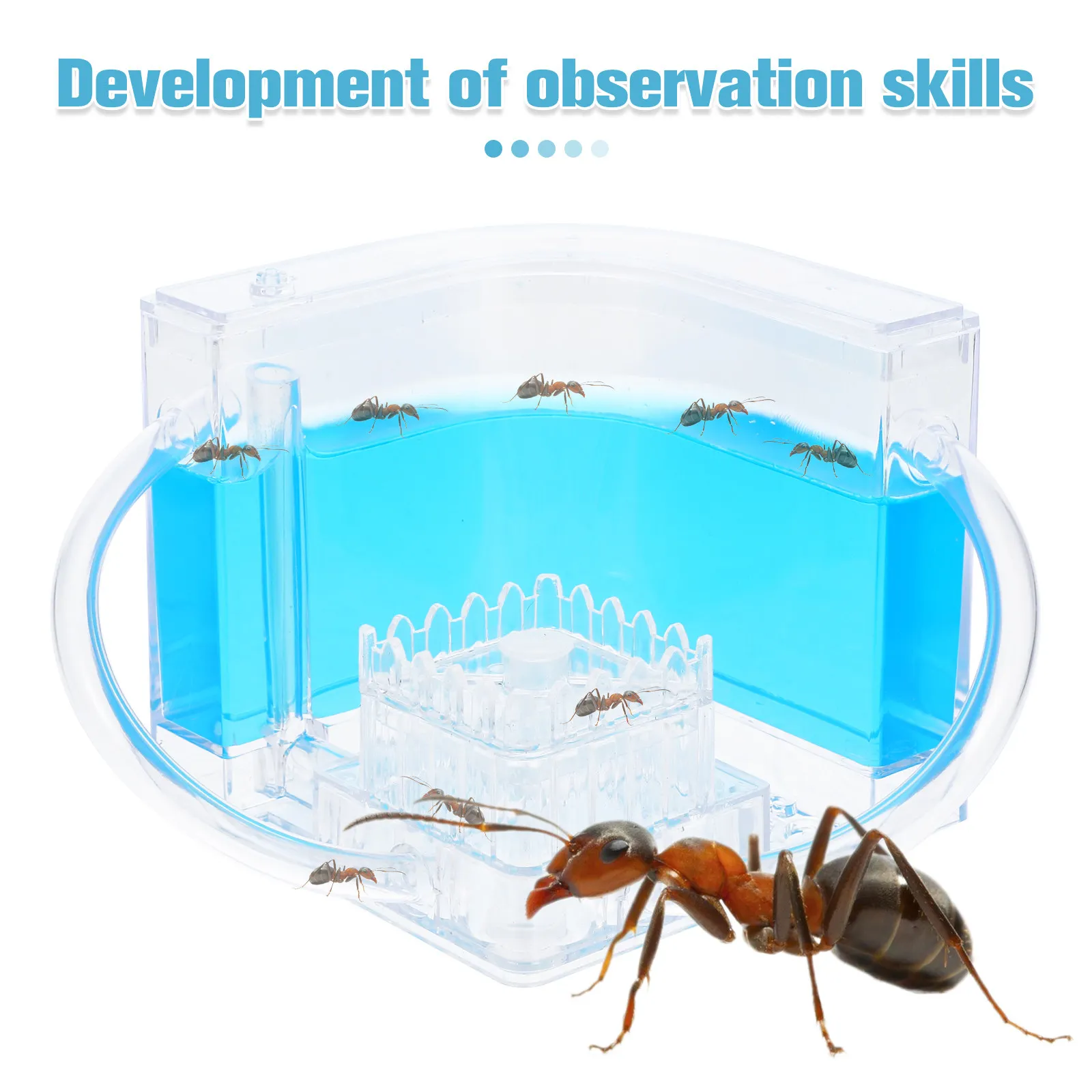 Ant Farm Castle Educational Science for Kids Adults Home School Observe Ant Behavior Build Colony Develop Scientific Thinking