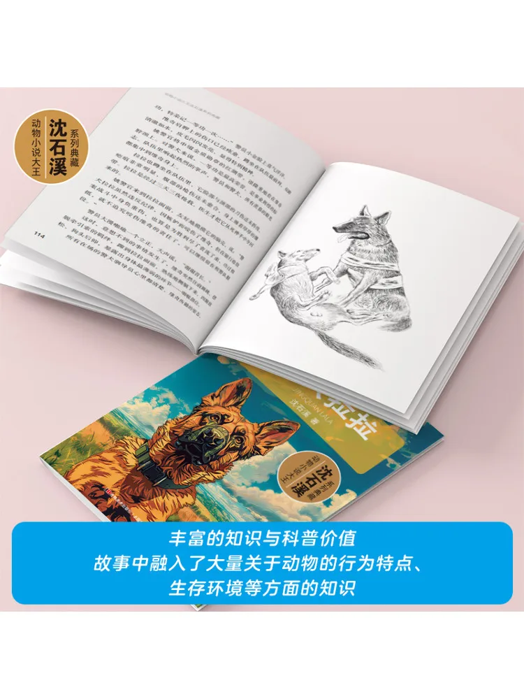 Book-Winshare The Snow Rabbit By the Sleeping Python
