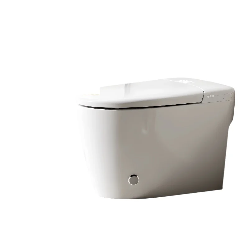 

Автоматический откидной пенопластовый экран, бытовой сифон, туалет, без ограничения давления воды