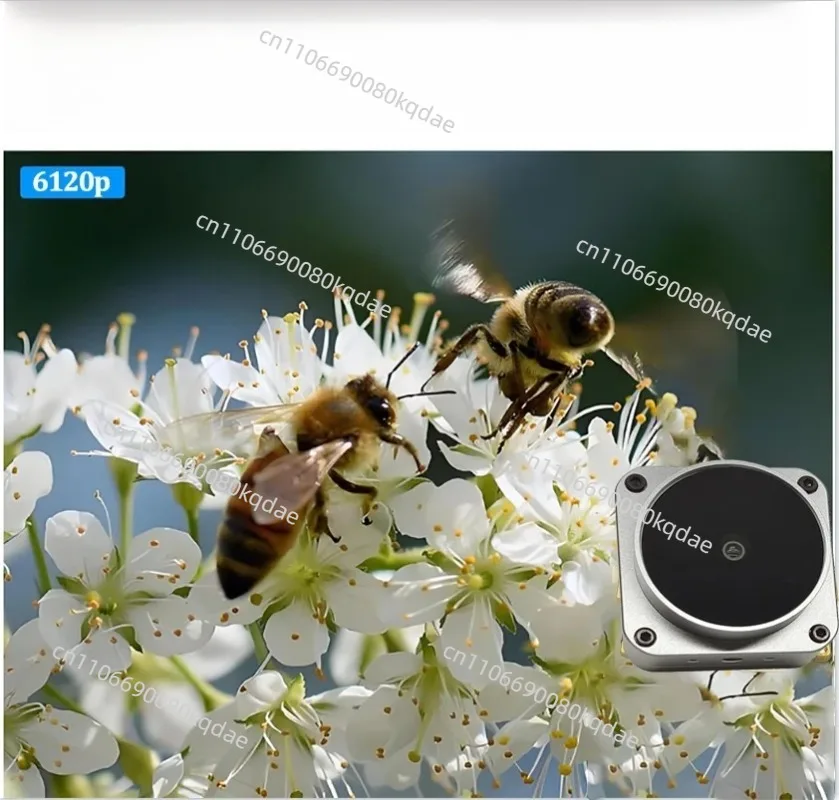 50MP IMX766 Image Capture Module, PDAF Auto‑Focus, Auto Color & Exposure, USB2.0 Driver‑Free, 8160*6120P UVC Hardware