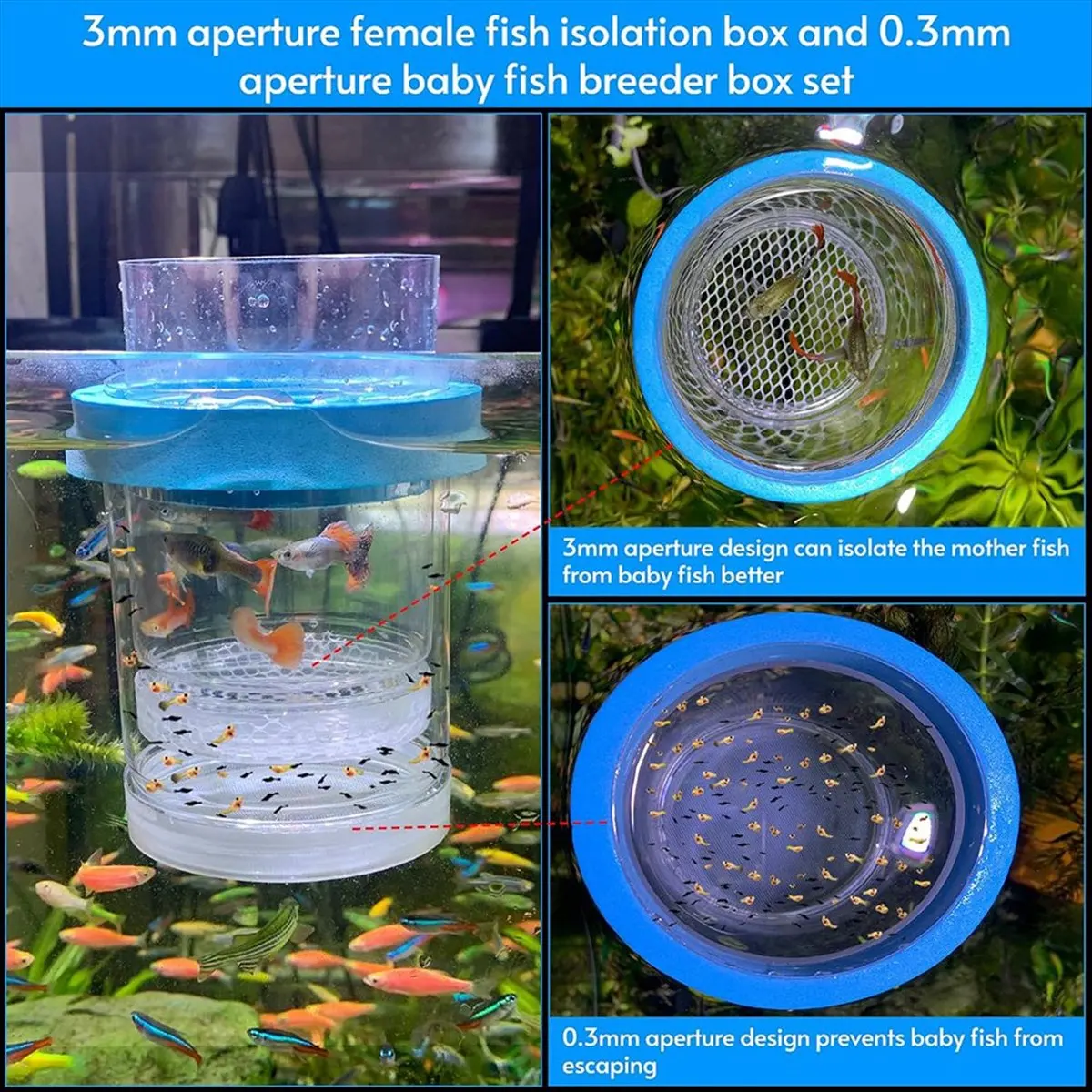 

Брейдер для изоляции аквариума, сепаратор для аквариума, инкубатор для креветок, рыбы-клоун