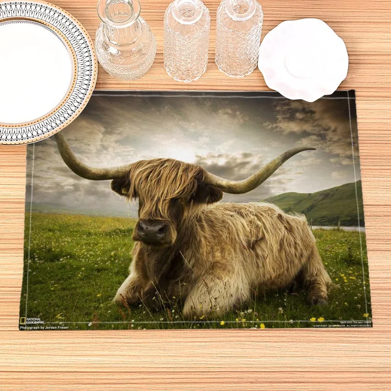 Highland Cow Placemat Cotton Linen Fabric Table Mats Family Dinner Tableware Kitchen Size 30X40cmTable Mat