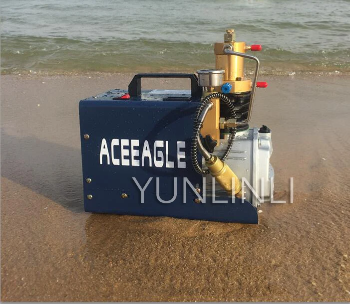 High Pressure Air Pump Electric Air Compressor For Pneumatic Airgun Scuba Rifle PCP Inflator Water And Oil Separation Pump