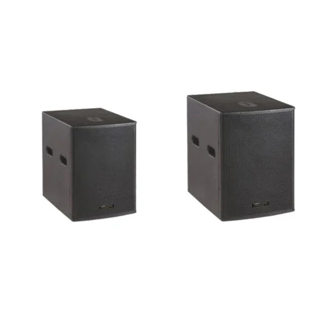 Professionele Luidspreker Audio 250W 10Inch Lijn Kolom Array Subwoofer Luidsprekersysteem Voor Pa/Kerk/Podium/Stadion/Bewegende Prestaties