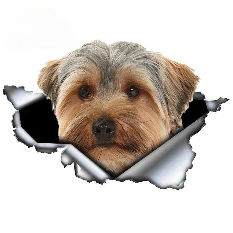 

V7# Car Sticker Yorkshire Terrier Waterproof Vinyl Decal Car Accessories Pegatinas Para Coche DIY Car Styling