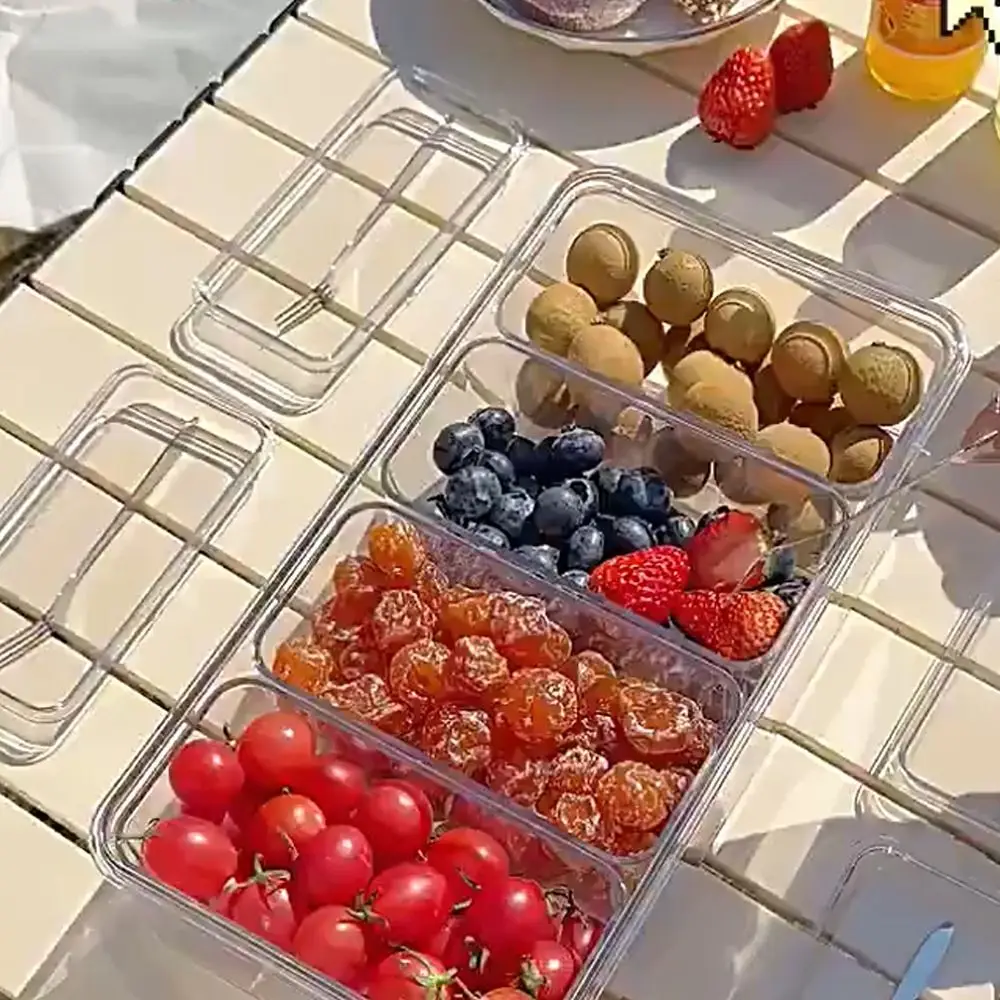 

Food Grade Outdoor Chilled Compartment Box 4 Compartments with Handle Fresh-Keeping Box Leakproof Divided Snack Organizer