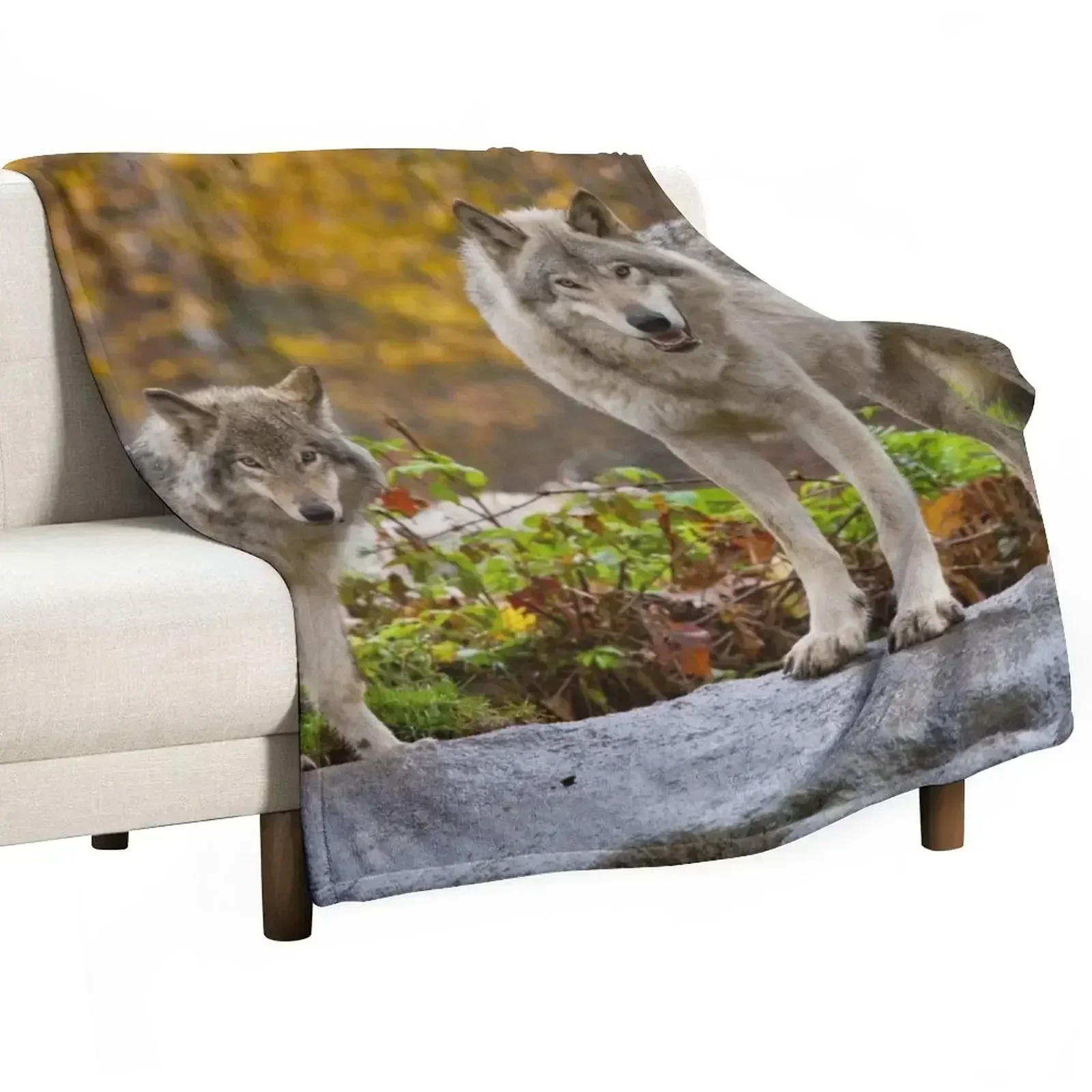 

Timber Wolves Throw Blanket Luxurious Soft Fuzzy Blanket for Sofa Bed