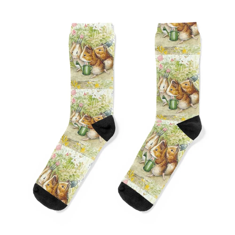 

Guinea Pig Gardeners - Beatrix Potter Socks christmass gift moving stockings Socks For Girls Men's