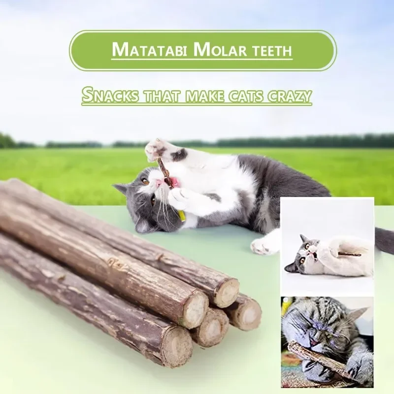 Natural Cat Molar Stick Catnip Teeth Cleaning Toothpaste Silvervine Cat Snack Stick Self Healing Kitten Chew Toy Pet Accessories