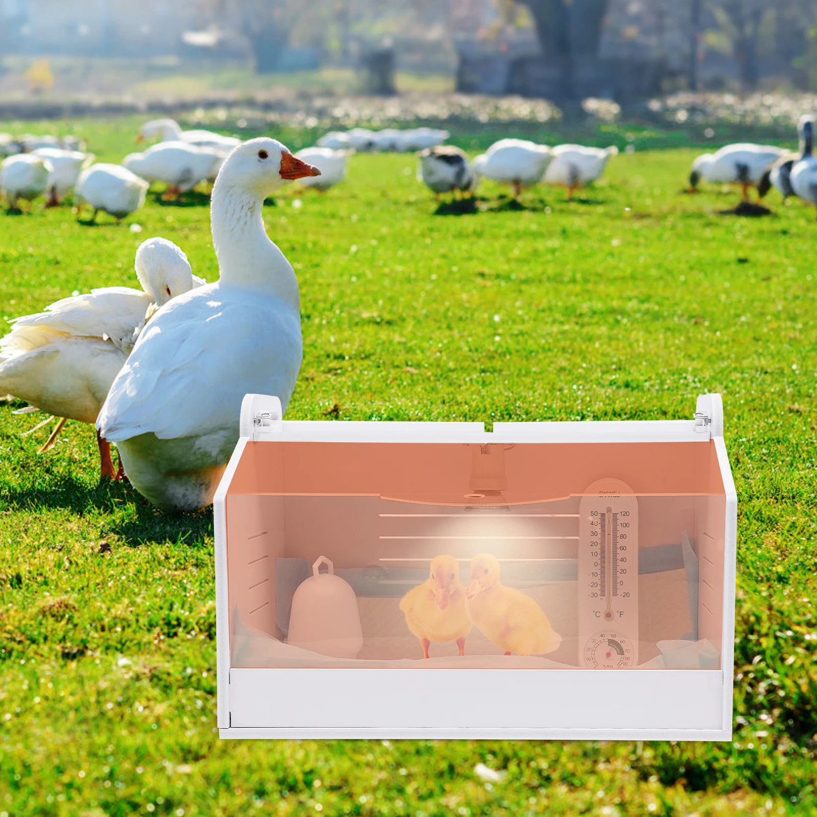 25W 220V Chicken Incubator Chick Brooding Box Head Lamp Reptiles Poultry Brooding Machine