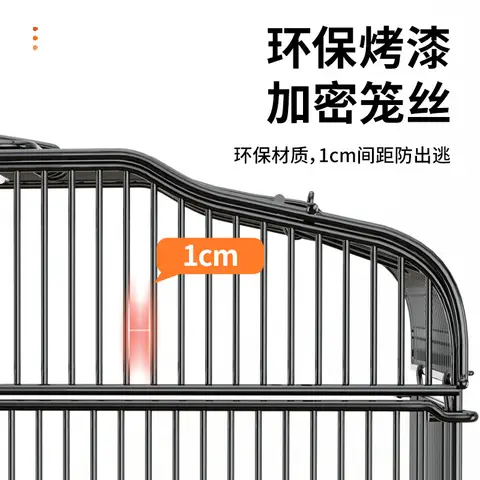 8 best sales ekorrbur - №8