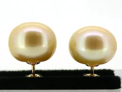 New AAAA 11-12mm Akoya Golden Stud Earrings Pearl Earrings 14k