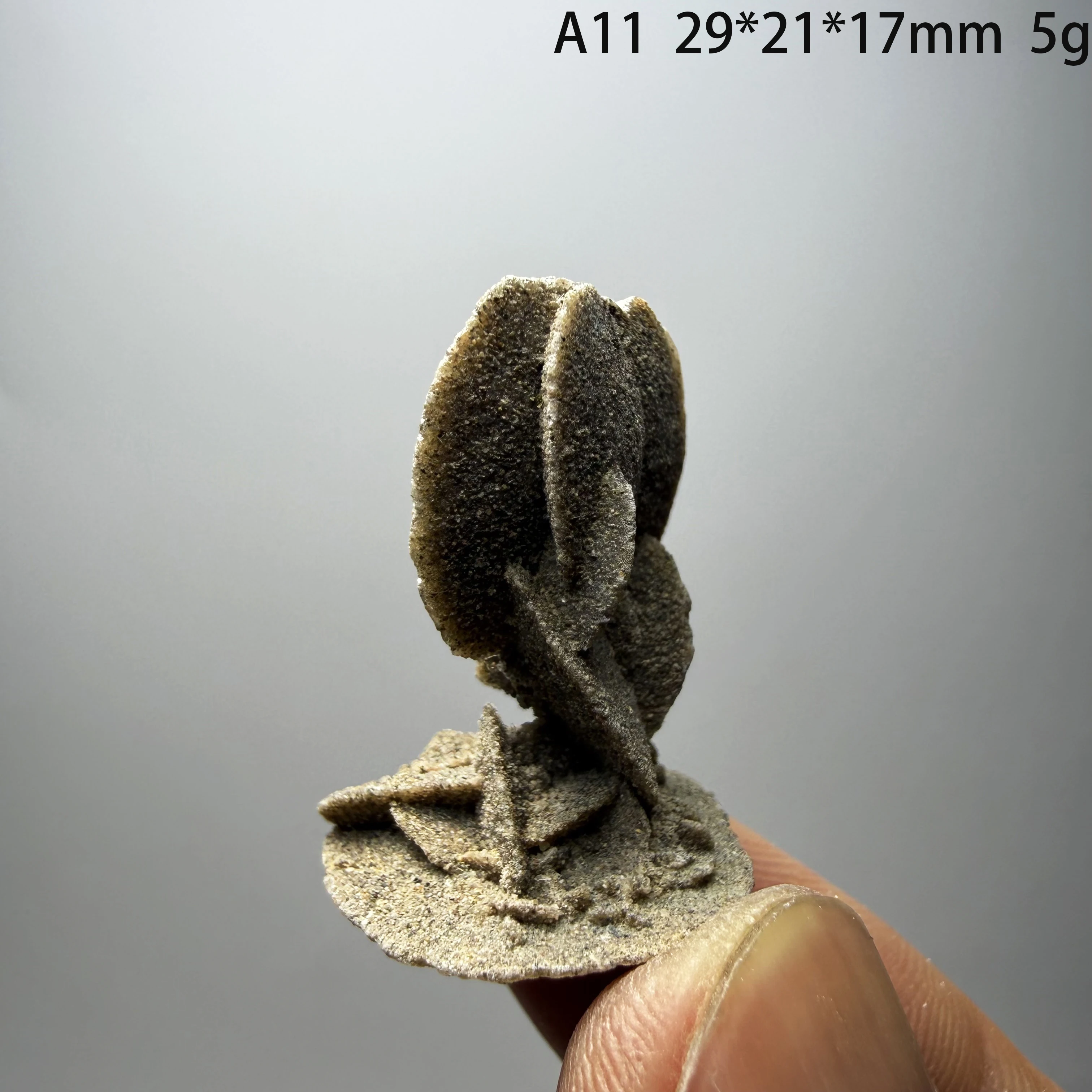 Natural Desert Rose Gypsum Cluster Raw Stone Mineral Specimen Home Decor Healing CrystalA1-2-12
