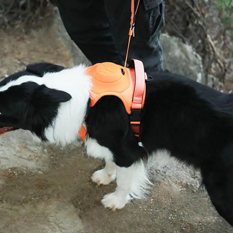 

Adjustable Dog Harness Puppy Traction Lead Tool Portable Dog Harness For Traveling Puppy Vest Traction Lead For Outdoors