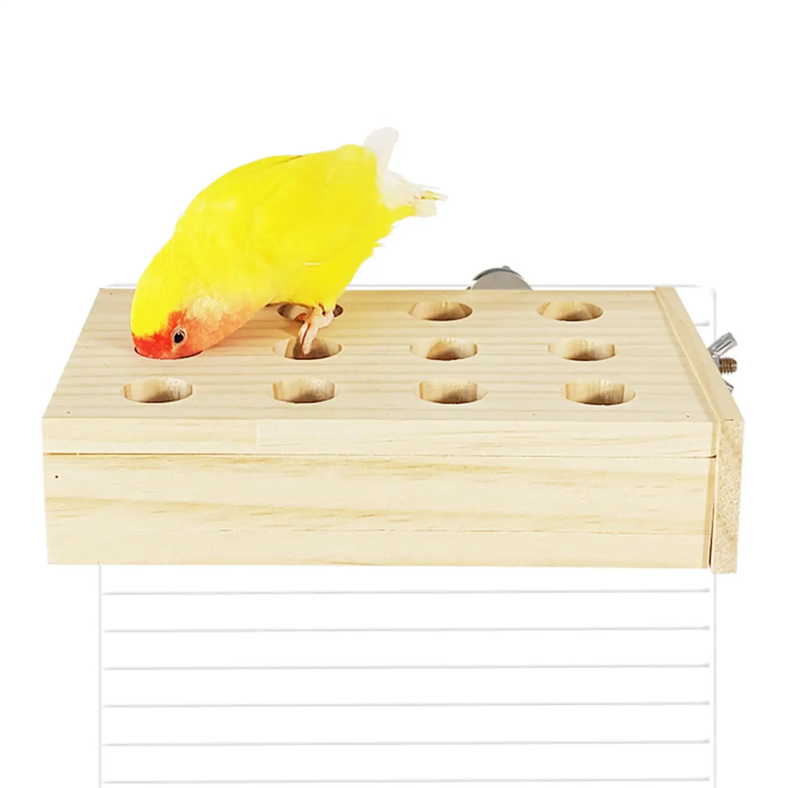 

Bird Foraging Feeder Box Feeding Toys Educational Wood Interactive for Gerbil Rabbit Guinea Pig Small Animals Chinchilla