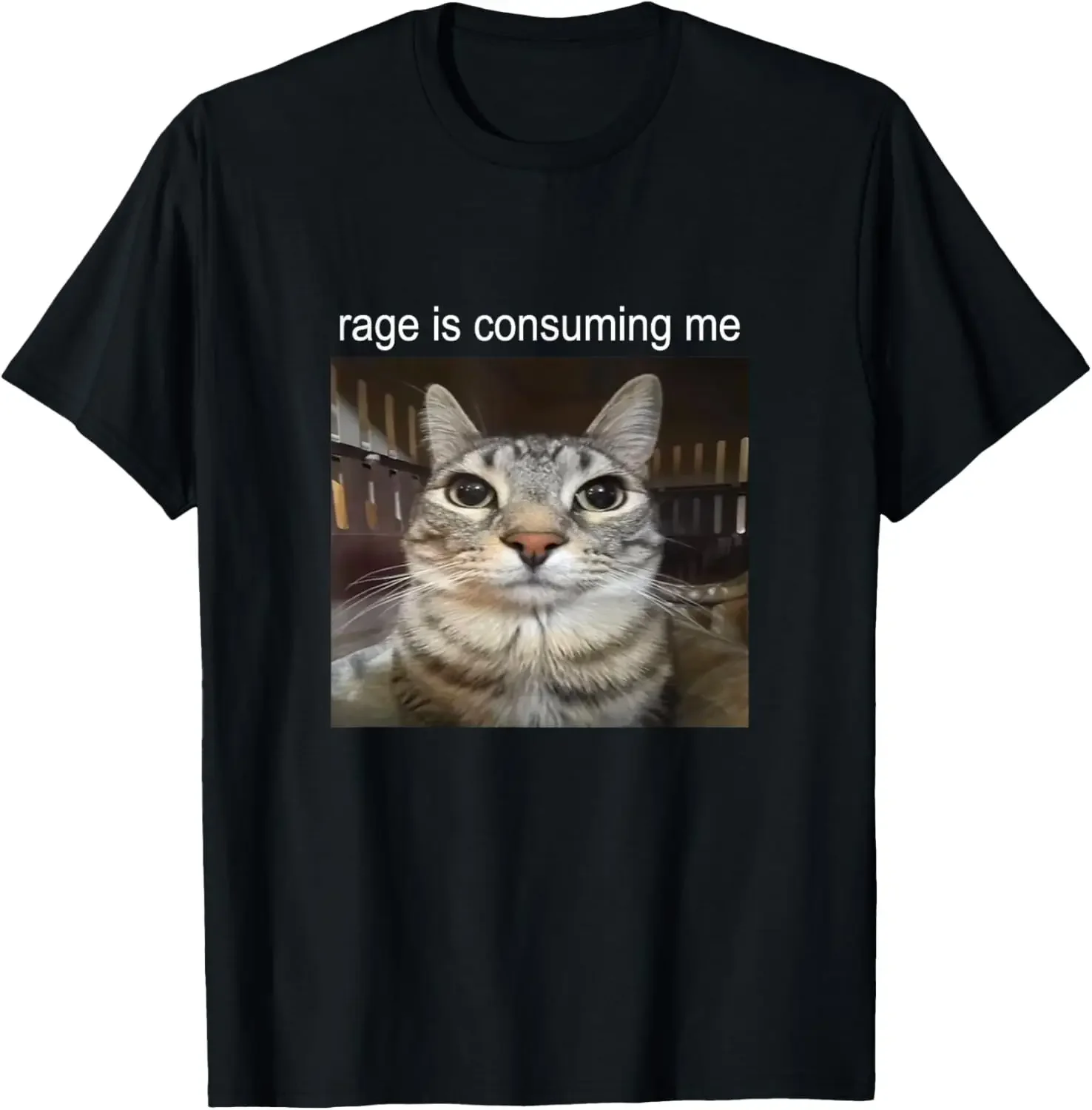 The Anger Consumed Me, Silly Cat Memes, The Hilarious Print T-shirts and The Black Crew-neck, Short-sleeved Outfits