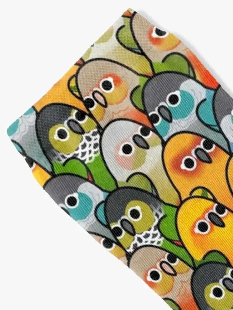 الكثير من الطيور! - جوارب Conure Squad للجولف الفاخرة هدية عيد الميلاد جوارب قطنية للرجال والنساء