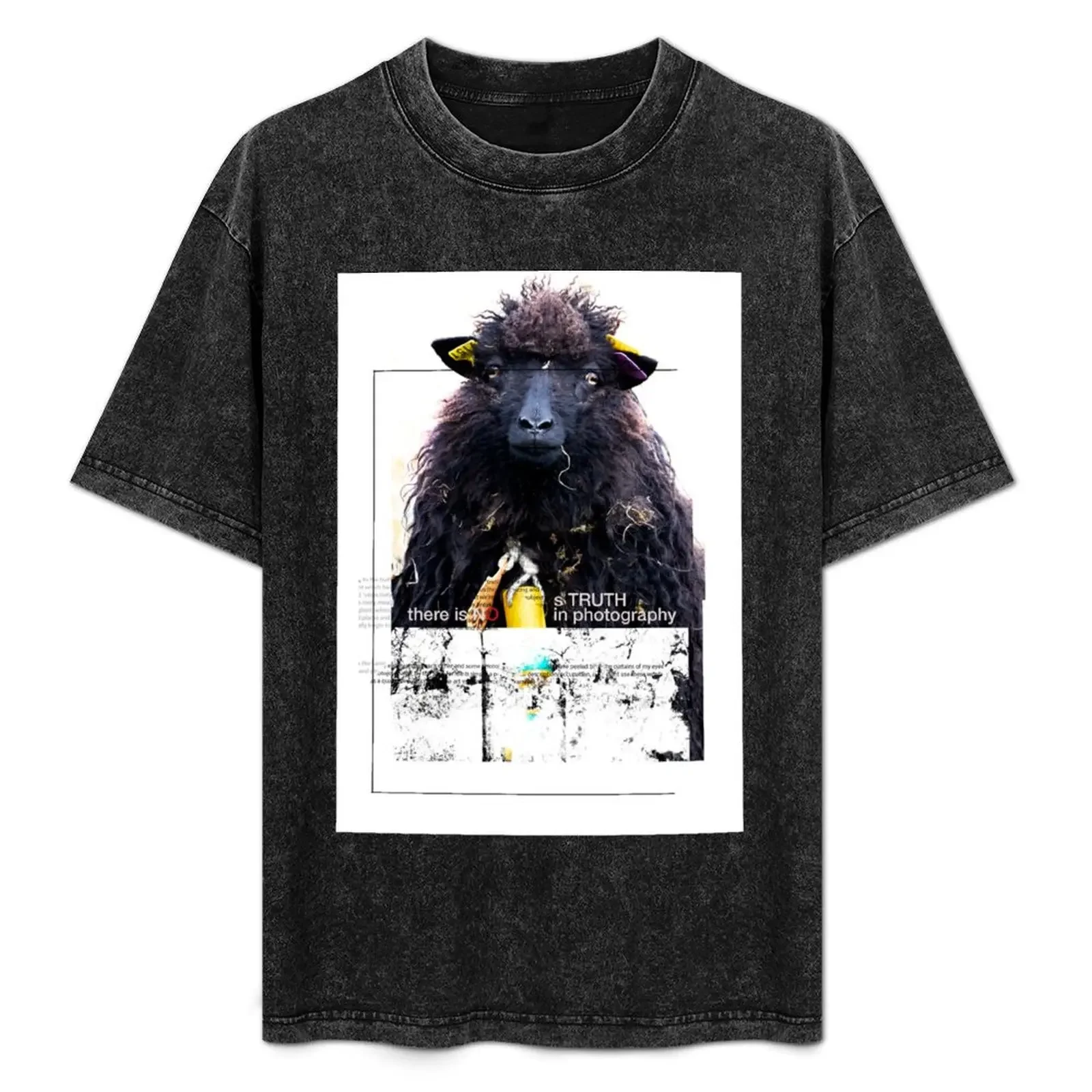 

Faroe sheep T-Shirt g man t shirts for men man t shirt luxury cotton t shirts high quality shirts for man cotton soft T-Shirt