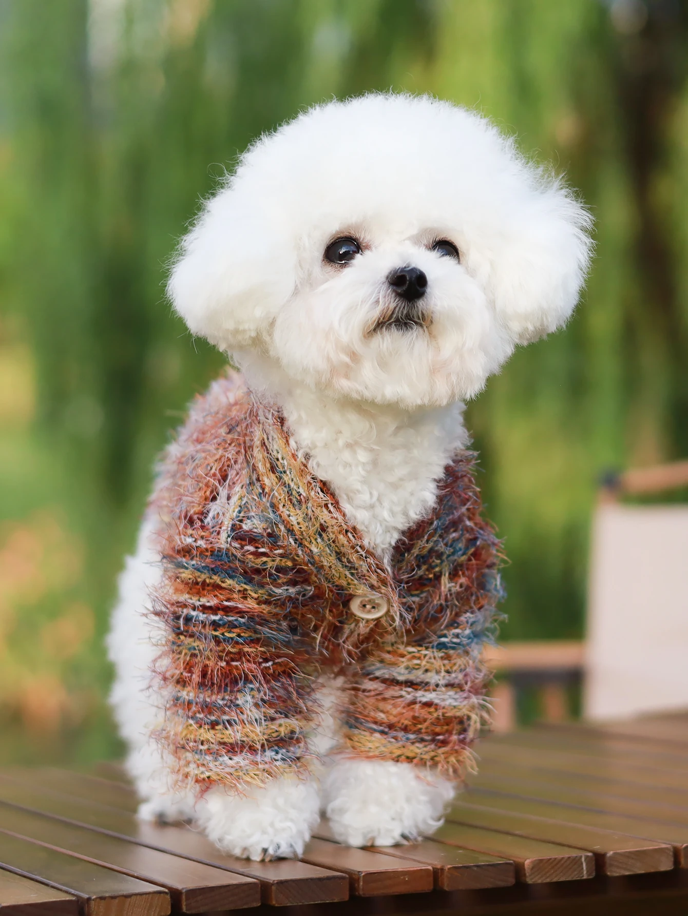 #18 Compare Dog Jumpers Before You Buy