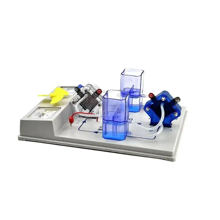 OEM PEM Hydrogen Fuel Cell Stack Electrolyzer Air-Cooled Education Tool