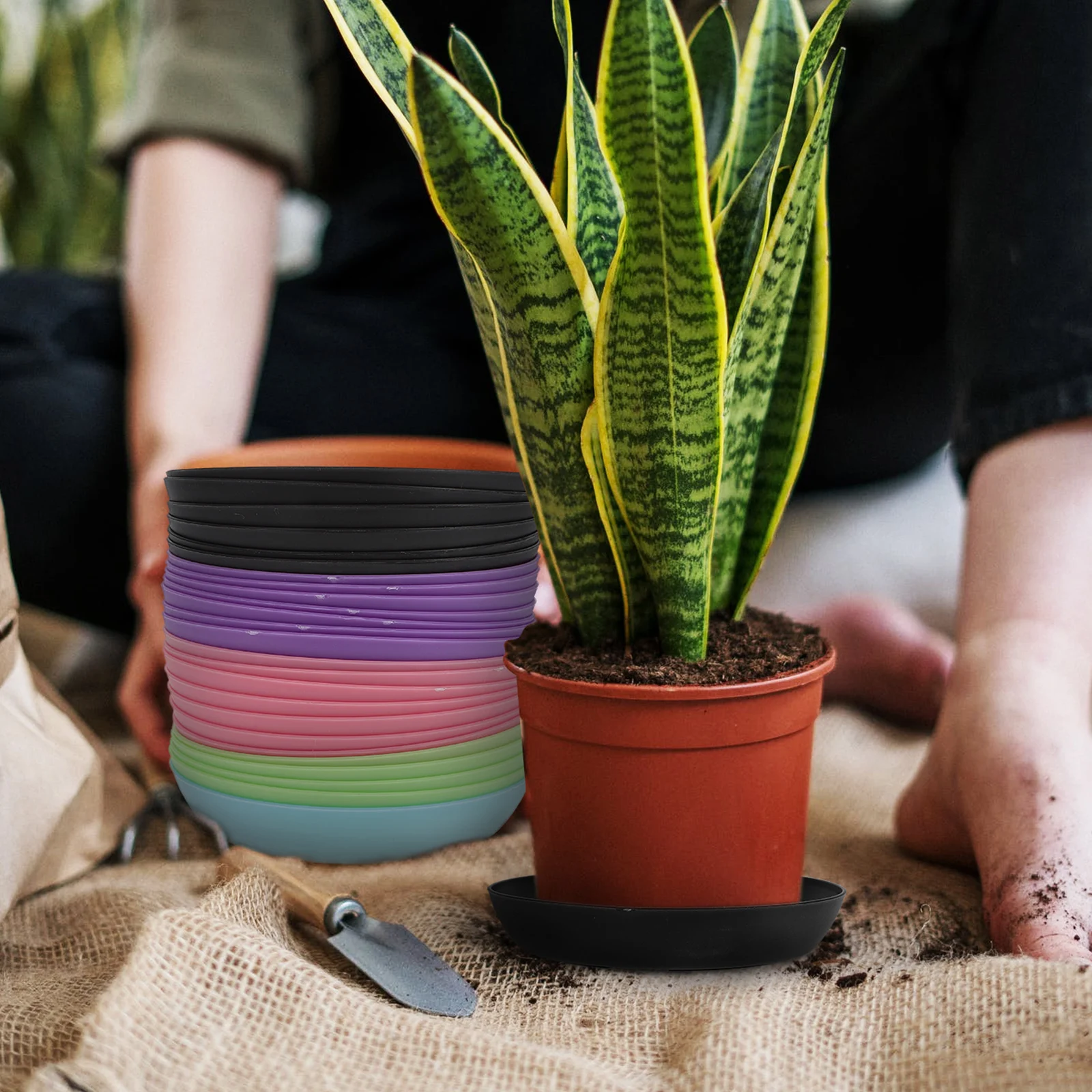 

25Pcs Plastic Flowerpot Trays Lightweight Plant Pot Saucer Plates for Home Garden Use Water Drainage Gardening Accessories