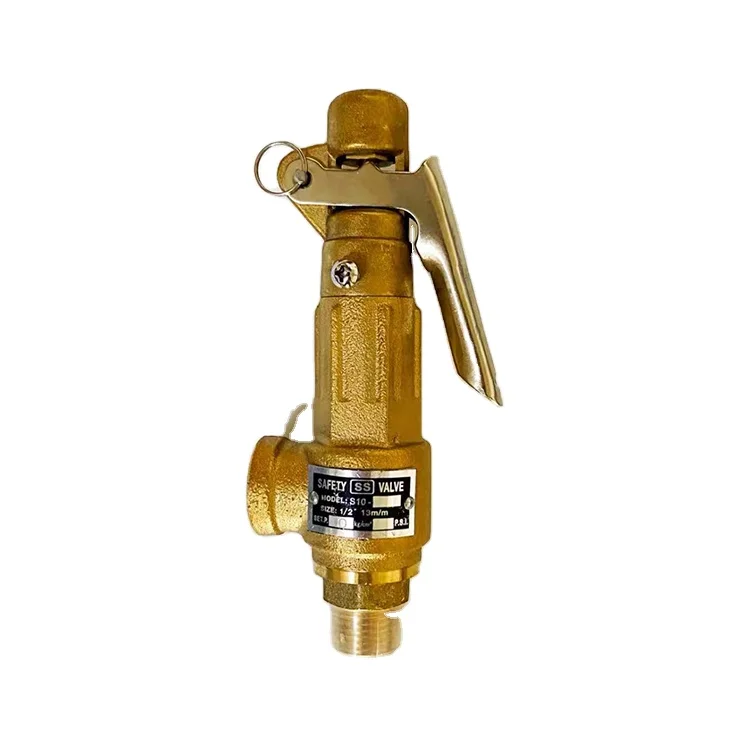 

Brass Safety Valve Water and Steam
