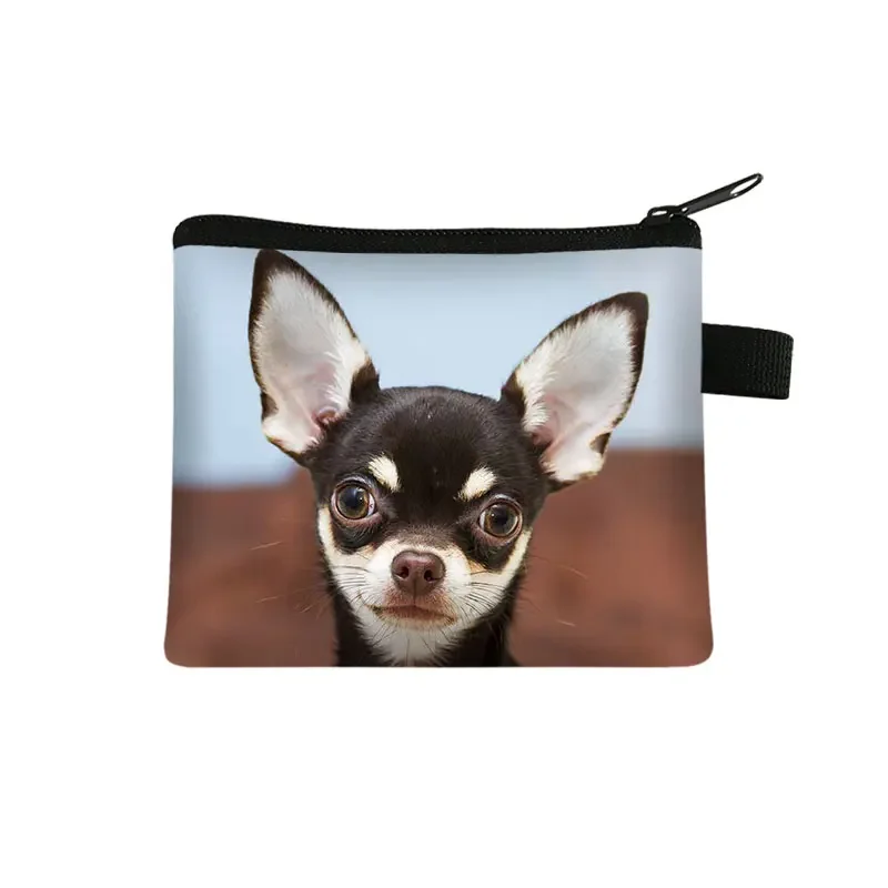 Lovely Dog Chihuahua Dog Printing Coin Purse Girls Mini Wallet Womens Purses and Handbag Mini Jewelry Bags Gift