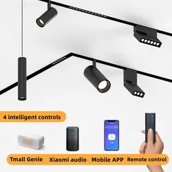 PDQ Tmall Genie Smart LED Track Light Embedded Masterless Lighting Lamp Living Room Light Voice Control Magnetic Track Light