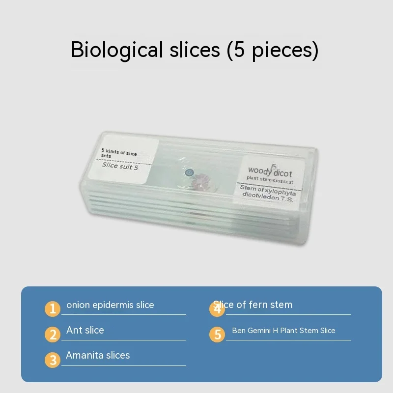 Microscopic Biology Teaching Experiment Accessories Gift Pack Animal and Plant Cell Slide Specimens Permanent Slice Specimens