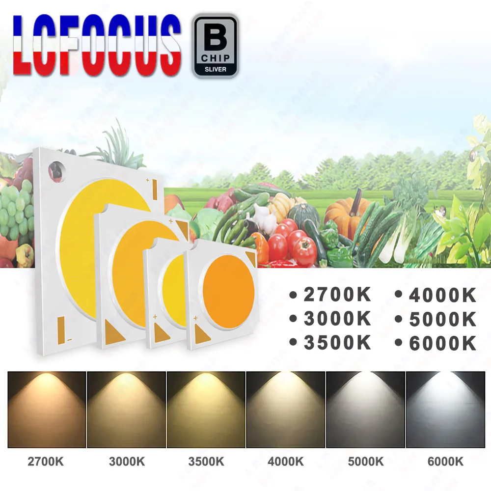 Hydroponice 3W 5W 10W 20W 30W 50W 100W LED Chip 14mm 19mm 28mm COB Full Spectrum 400-840nm For Indoor Plant Grow Light Beads