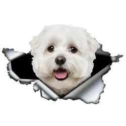 TXCT Personality Pet Dog Car Decoration Torn Metal Decal Cute Maltese Car Sticker Reflective Sticker Waterproof Car Styling,15cm