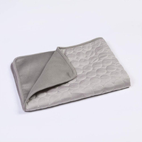 Pet Ice Mat Cushion Pets Gel Heat Dog Pads Cat Cooling Indoor Summer for Mini Washable