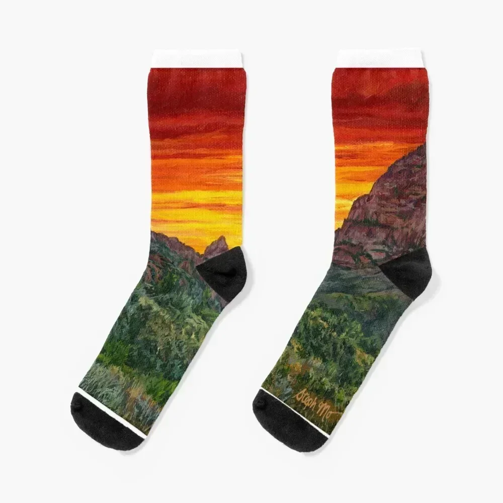 

The Window Socks short New year's Lots kids Socks Man Women's fashionable kids Wholesale Ladies Socks Men's