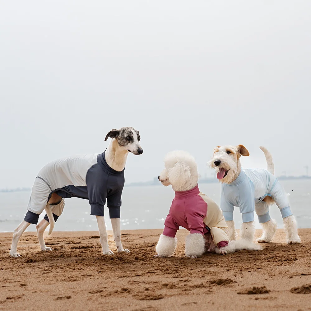 

Dog four legged all inclusive cool coat insect proof and anti shedding adjustable crotch pet cool coat summer new style