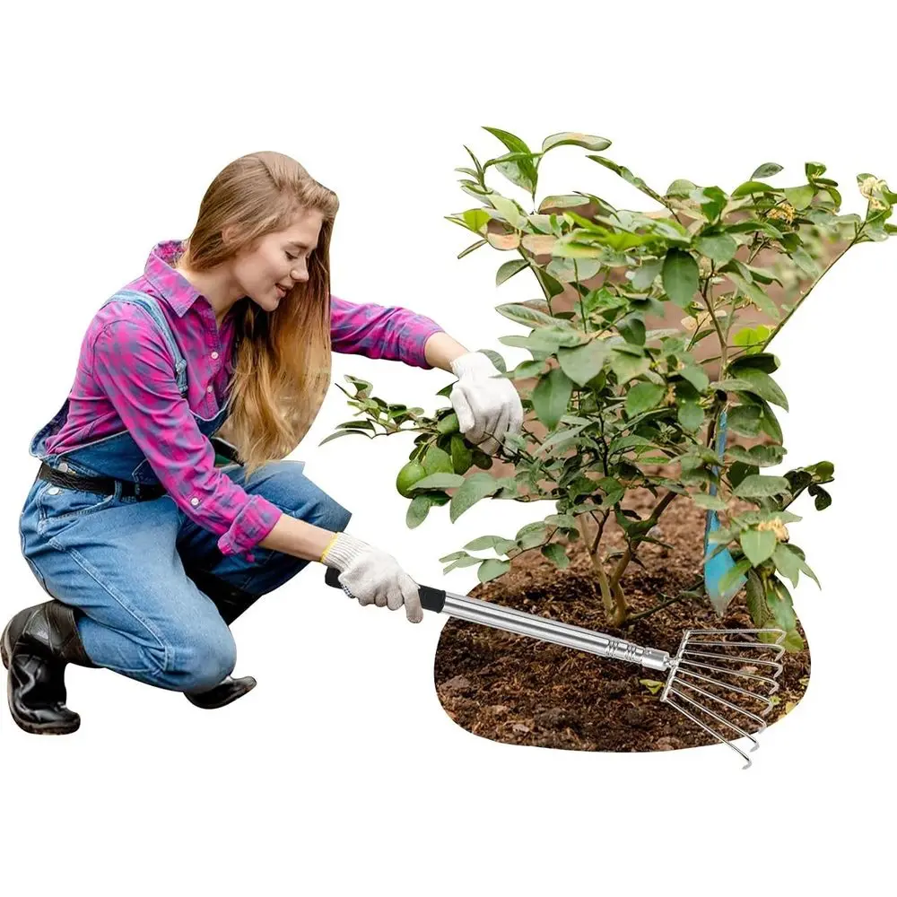 

Rake Leaves, Cultivator, Clamshell Tool for Yard Clean-Up, Weed Removal, Garden Bed Maintenance - Stainless Steel