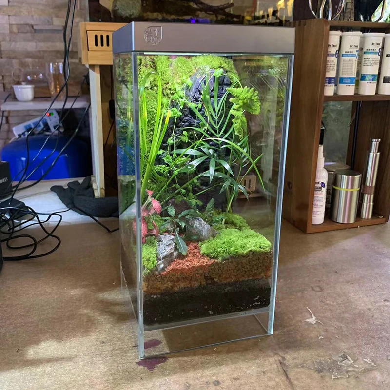 

DIY landscape Glass Fishbowl Fish tank to simulate falling rain APP Bluetooth connection control Small Pet Fish Tank