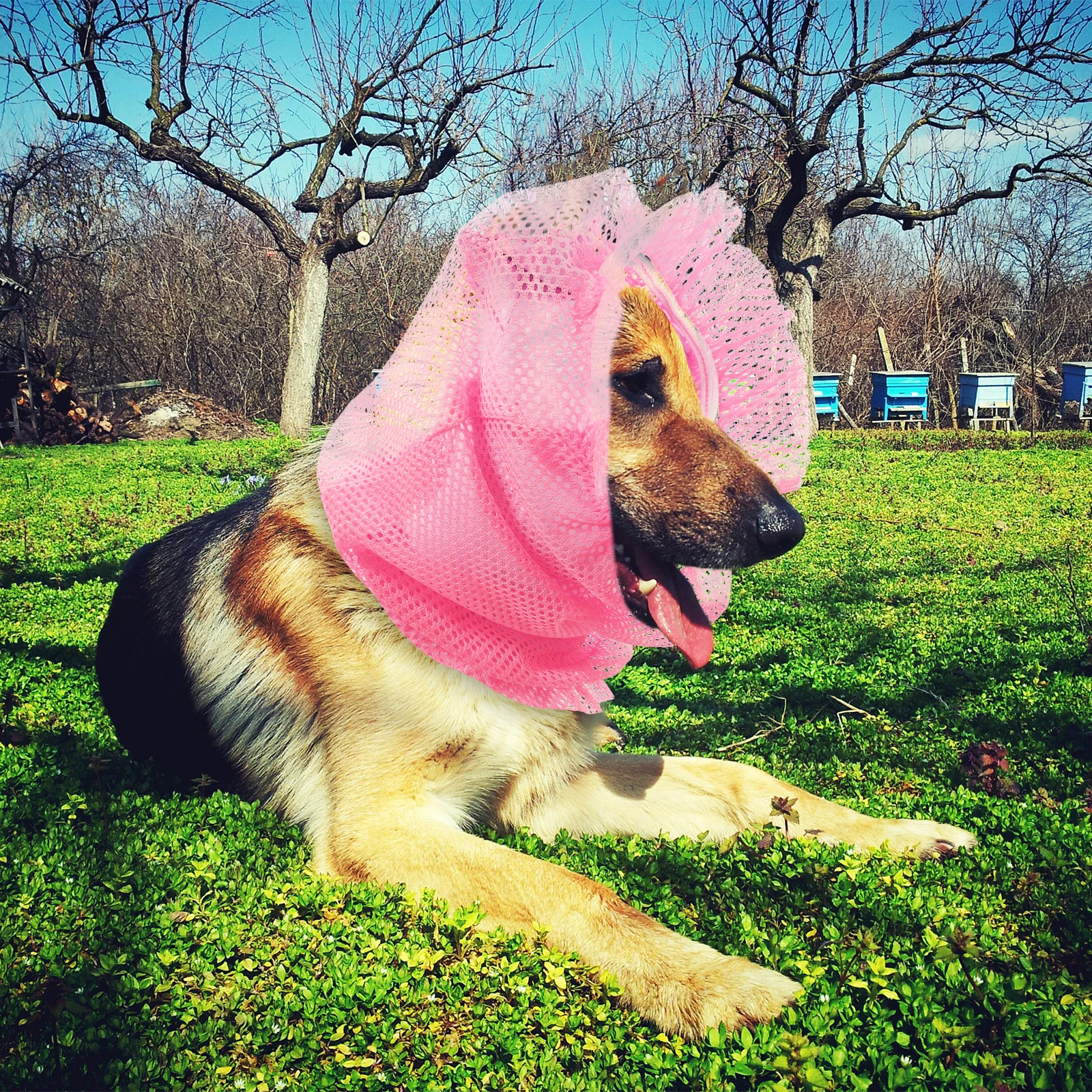 

Dog Protection Snood Puppy Mesh Sleeve Wrap Breathable Long Ears Shield Net Cover Sleeve Cap Summer Outdoor Camping Guard For